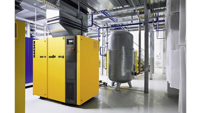 Compresor cu şurub BSD